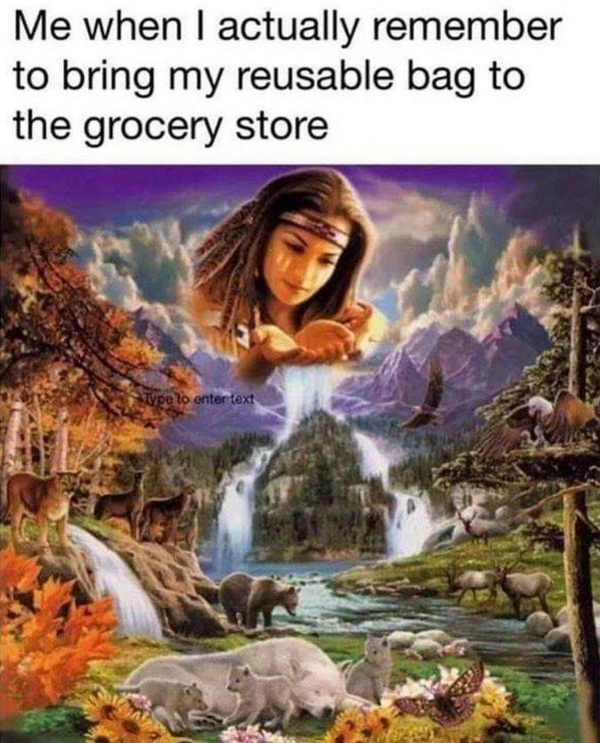 indian nature meme - Me when I actually remember to bring my reusable bag to the grocery store Stype to enter text