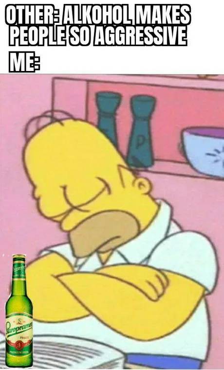 funny memes - Other Alkohol Makes People So Aggressive Me - sleeping homer simpson