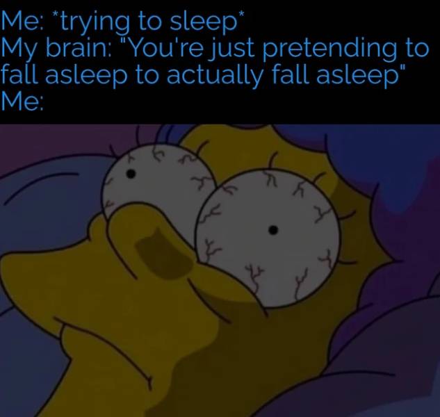 funny memes - Me trying to sleep My brain