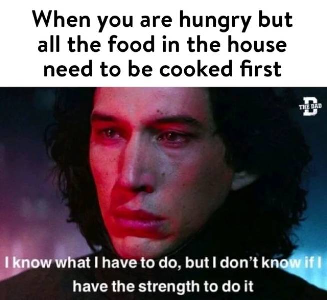 funny memes - When you are hungry but all the food in the house need to be cooked first The Dad I know what I have to do, but I don't know if I have the strength to do it