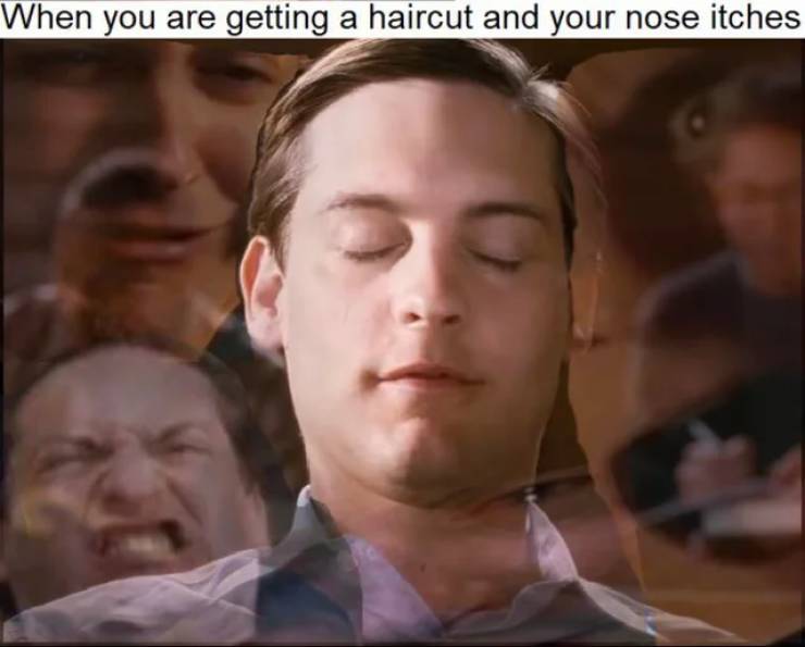 funny memes - When you are getting a haircut and your nose itches