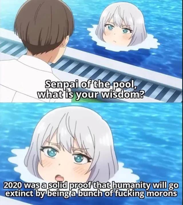 funny memes - Senpai of the pool, what is your wisdom? 2020 was a solid proof that humanity will go extinct by being a bunch of fucking morons