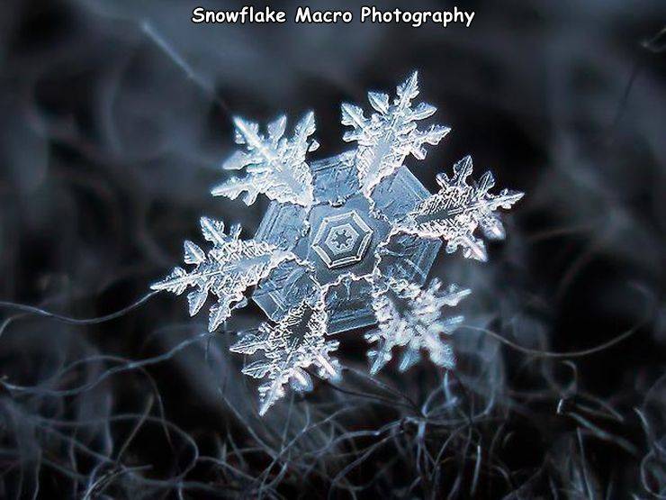 macro photo of snowflakes - Snowflake Macro Photography