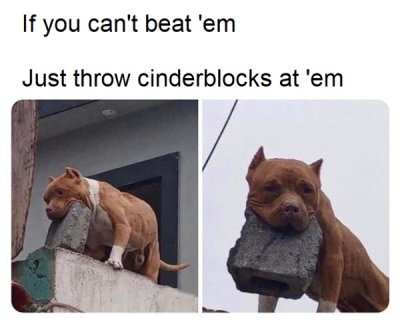dog - If you can't beat 'em Just throw cinderblocks at 'em