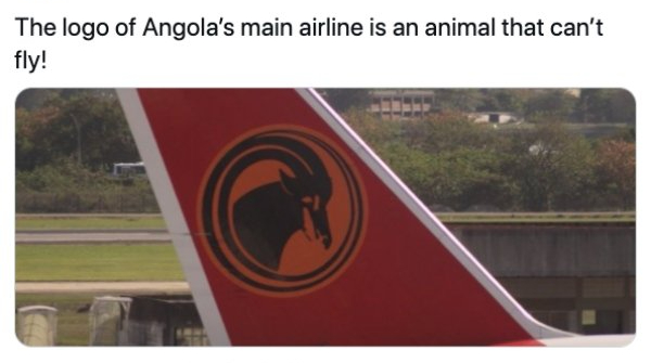 traffic sign - The logo of Angola's main airline is an animal that can't fly!