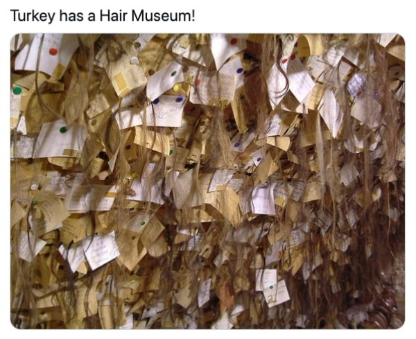 hair museum - Turkey has a Hair Museum!