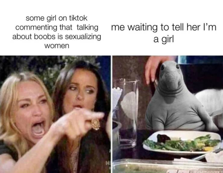 sfs memes - some girl on tiktok commenting that talking about boobs is sexualizing women me waiting to tell her I'm a girl