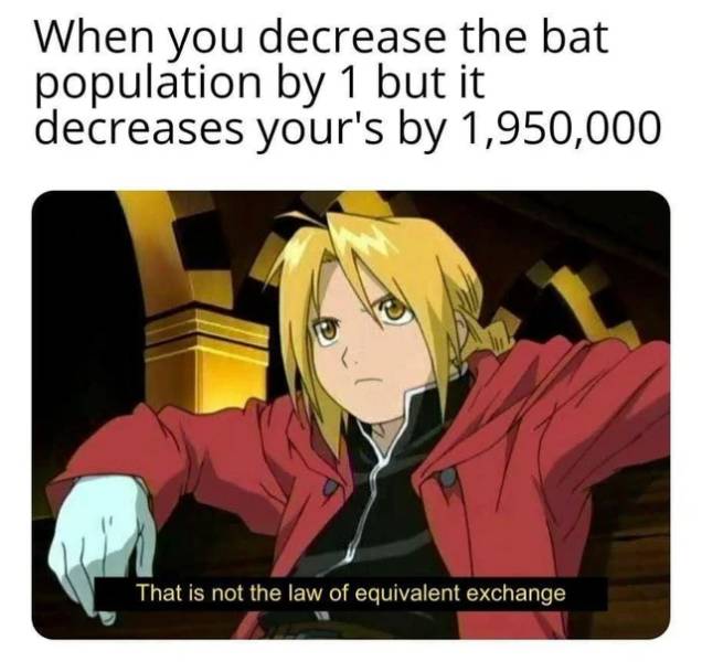 law of equivalent exchange meme - When you decrease the bat population by 1 but it decreases your's by 1,950,000 That is not the law of equivalent exchange