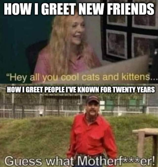 funny homeschool memes - How I Greet New Friends "Hey all you cool cats and kittens... How I Greet People I'Ve Known For Twenty Years Guess what Motherfer!