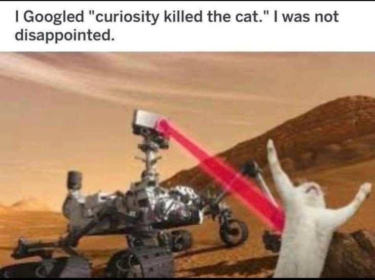 mars rover meme - I Googled "curiosity killed the cat." I was not disappointed.