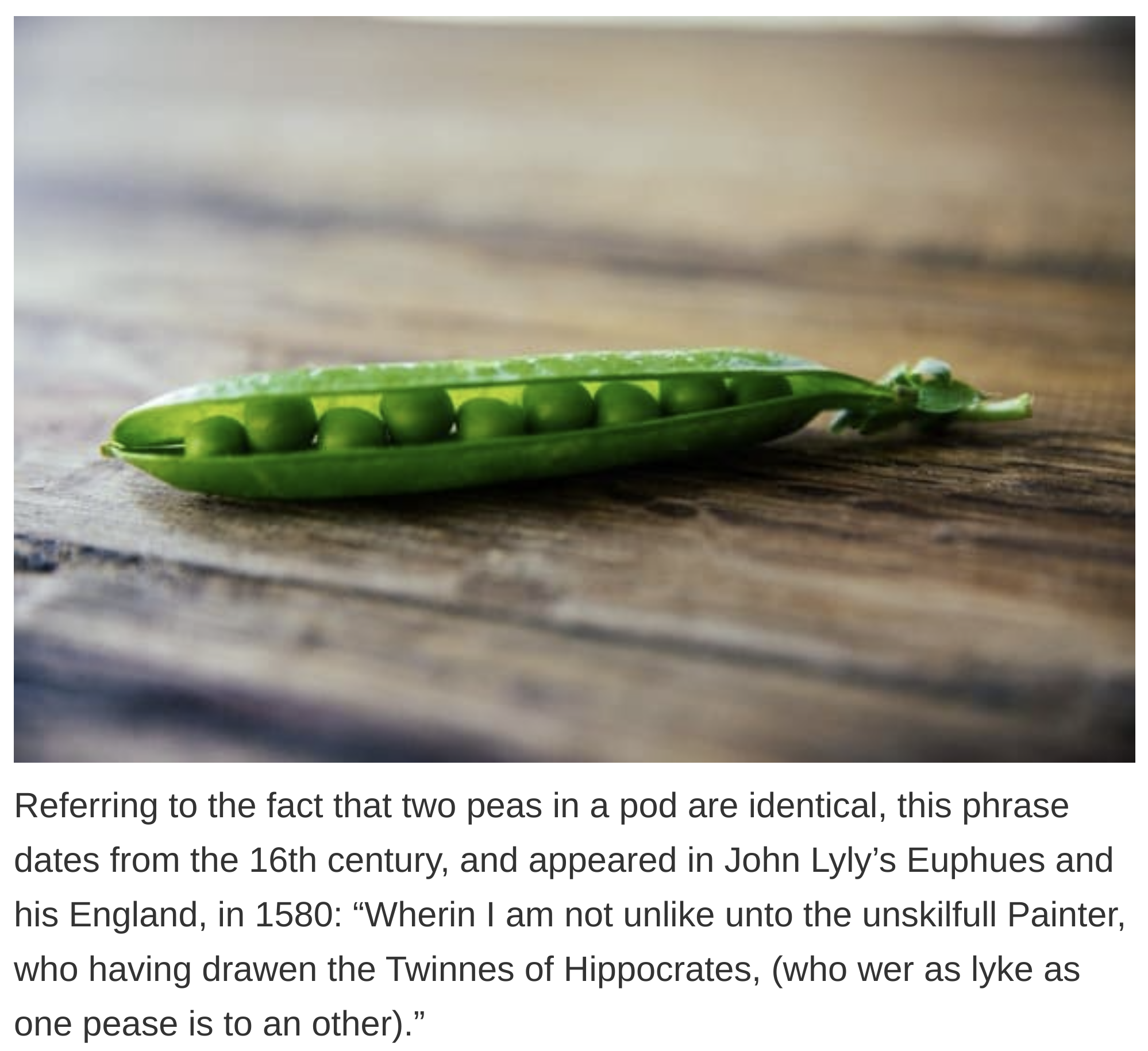 etymology english language - Referring to the fact that two peas in a pod are identical, this phrase dates from the 16th century, and appeared in John Lyly's Euphues and his England, in 1580