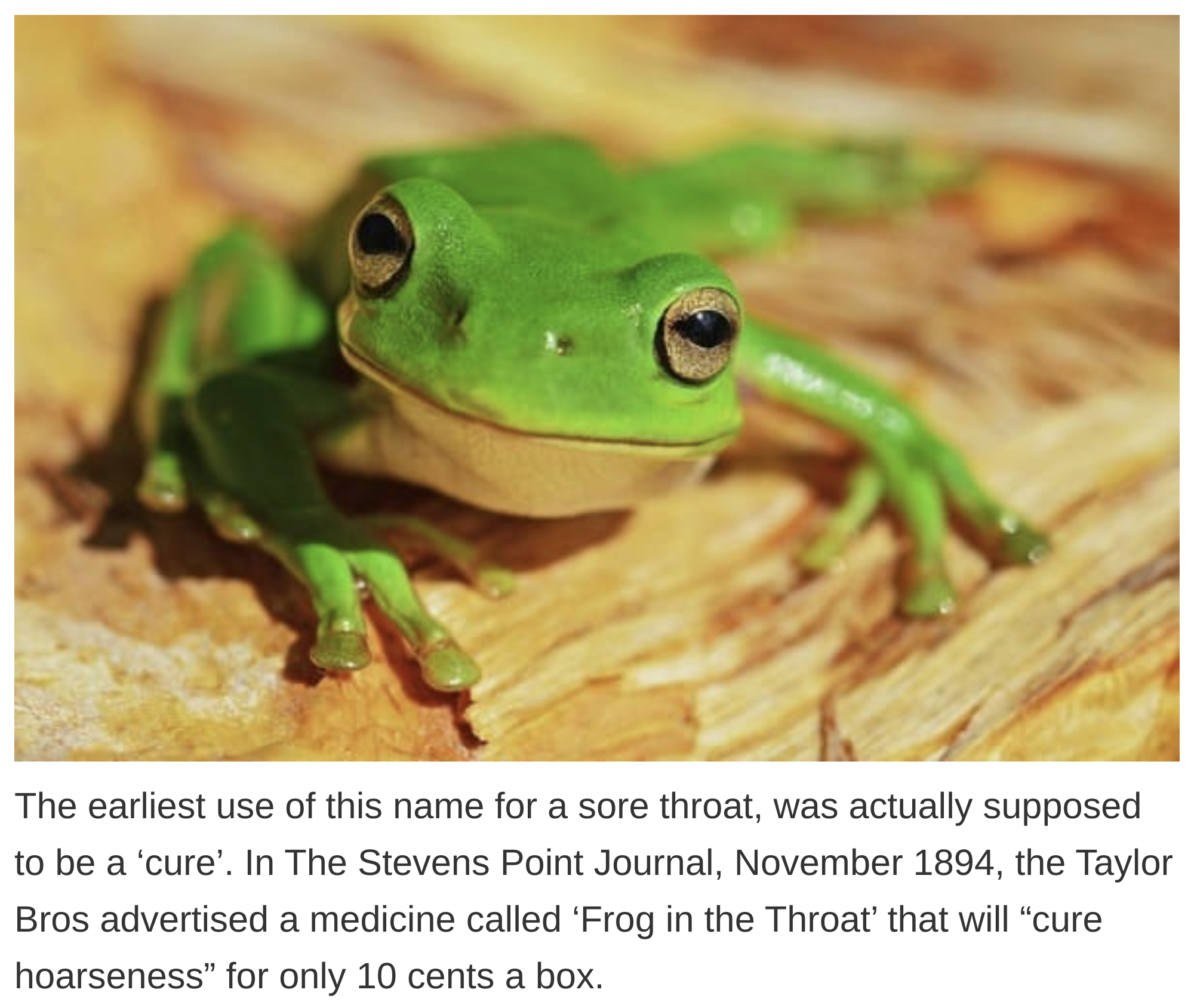 etymology english language - The earliest use of this name for a sore throat, was actually supposed to be a 'cure'. In The Stevens Point Journal, , the Taylor Bros advertised a medicine called 'Frog in the Throat' that will