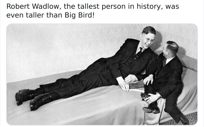 robert wadlow age of 5 - Robert Wadlow, the tallest person in history, was even taller than Big Bird!