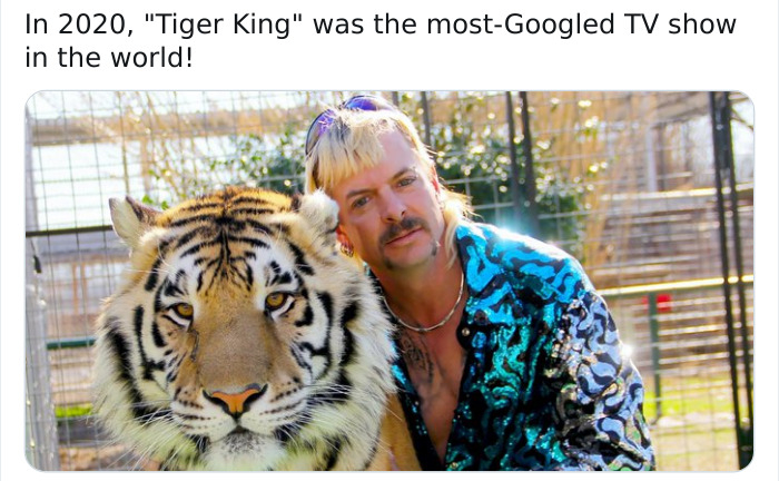 prince albert piercing tiger king - In 2020, "Tiger King" was the mostGoogled Tv show in the world!