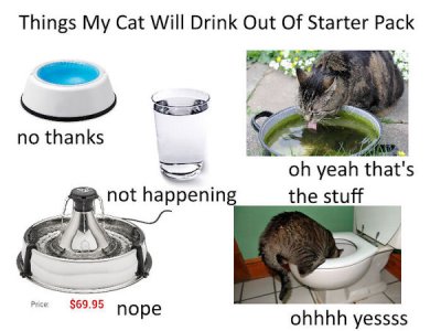 cat starter pack - Things My Cat Will Drink Out Of Starter Pack no thanks oh yeah that's the stuff not happening $69.95 nope ohhhh yessss
