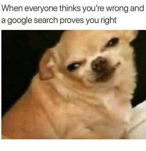 dog meme - When everyone thinks you're wrong and a google search proves you right