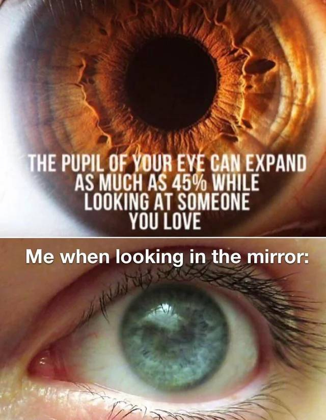 suren manvelyan - The Pupil Of Your Eye Can Expand As Much As 45% While Looking At Someone You Love Me when looking in the mirror