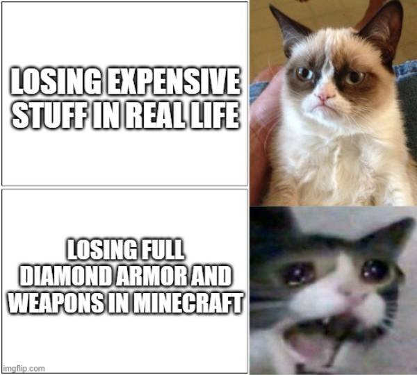 funny animal memes funny grumpy grumpy cat memes - Losing Expensive Stuff In Real Life Losing Full Diamond Armor And Weapons In Minecraft imgflip.com