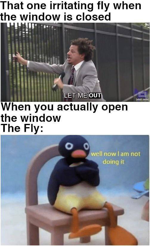 meme lockdown - That one irritating fly when the window is closed Let Me Out fadelt swim When you actually open the window The Fly well now lam not doing it