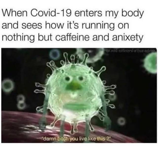 covid enters my body meme - When Covid19 enters my body and sees how it's running on nothing but caffeine and anixety Sao Povu10MeesForuarantoor 8 damn bitch you live this?"