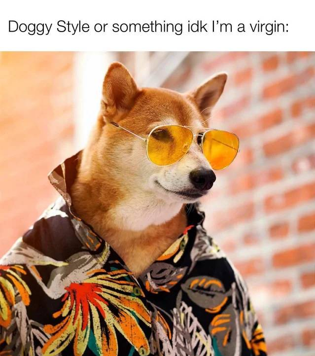 paid animal - Doggy Style or something idk I'm a virgin