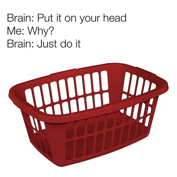 storage basket - Brain Put it on your head Me Why? Brain Just do it Iiiiiiii Judit
