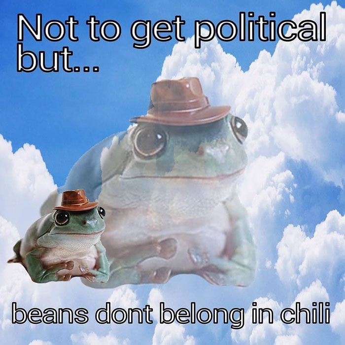 frog - Not to get political but... beans dont belong in chili