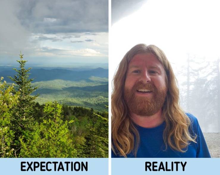 tree - Expectation Reality