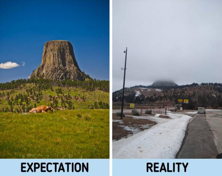 landmark - Expectation Reality