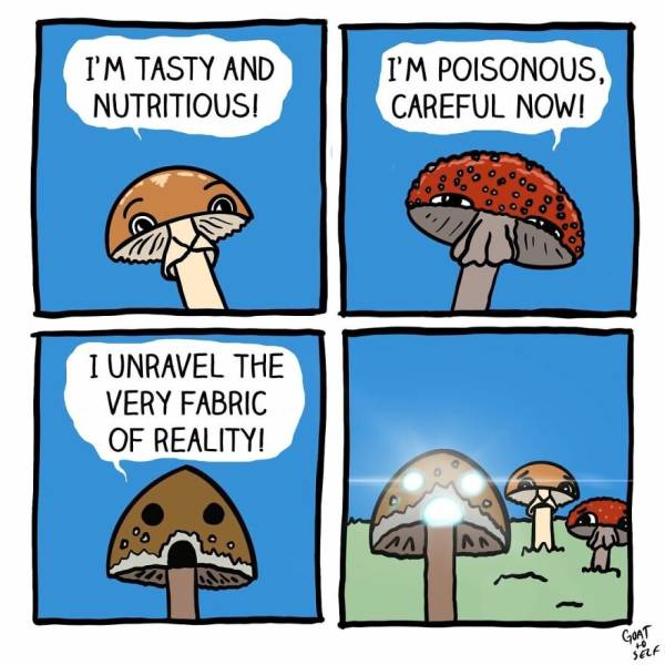 mushrooms meme - I'M Tasty And Nutritious! I'M Poisonous, Careful Now! I Unravel The Very Fabric Of Reality! An Goat Self 40