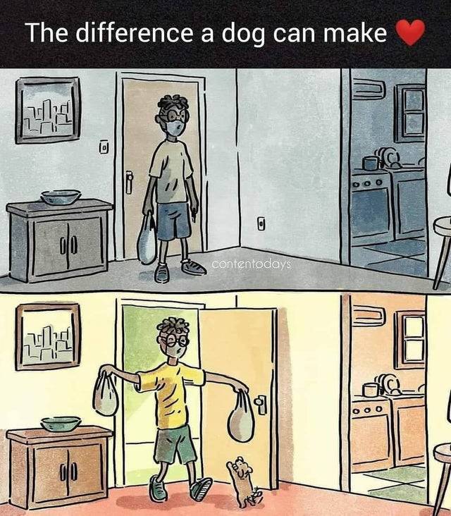 cartoon - The difference a dog dog can make Lud O contentodays Ludo olo