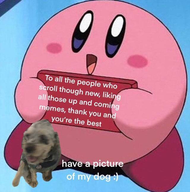 wholesome meme kirby - o o To all the people who scroll though new, liking all those up and coming memes, thank you and you're the best have a picture of my dog