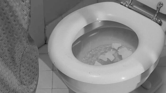 In the film Psycho (1960), an actress was flushing a toilet, with its contents (torn-up note paper) fully visible the first time. It was a concern, since no flushing toilet had appeared in mainstream film and television in the United States at that time.