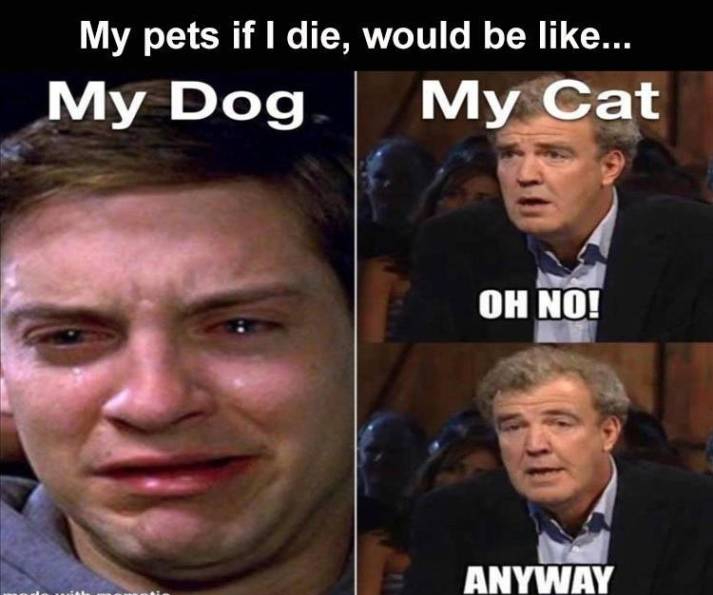funny pics and memes - clarkson meme - My pets if I die, would be ... My Dog My Cat Oh No! S Anyway