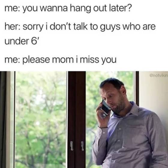funny pics and memes - presentation - me you wanna hang out later? her sorry i don't talk to guys who are under 6' me please mom i miss you enotvikin