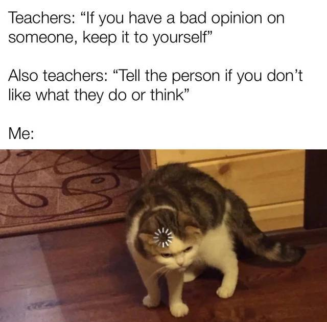 funny pics and memes - loading cat memes - Teachers "If you have a bad opinion on someone, keep it to yourself" Also teachers Tell the person if you don't what they do or think" Me S