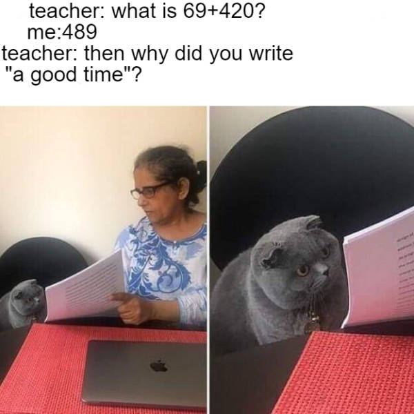 funny pics and memes - cat looking at paper meme - teacher what is 69420? me489 teacher then why did you write "a good time"?