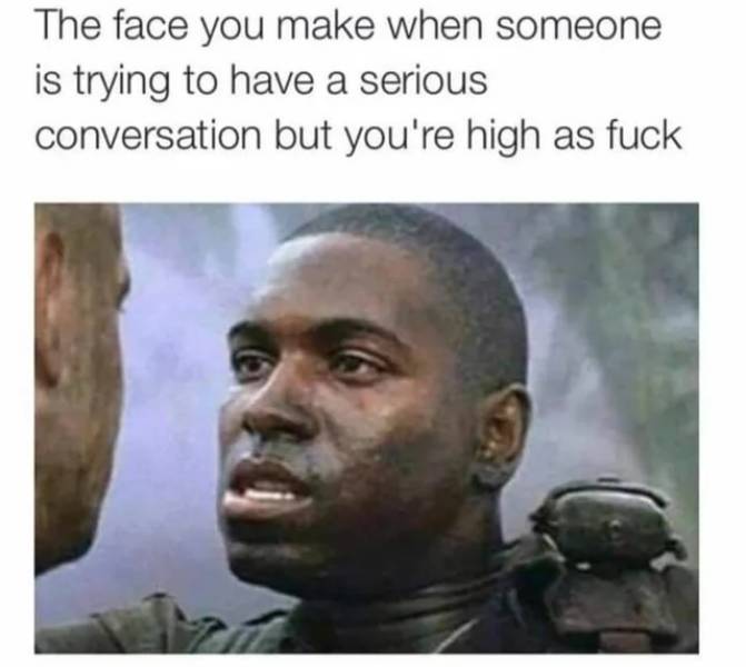 funny pics and memes - bubba forrest gump - The face you make when someone is trying to have a serious conversation but you're high as fuck