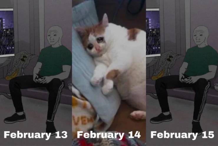 funny pics and memes - February 13 February 14 February 15