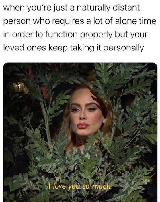 adele in the bushes - when you're just a naturally distant person who requires a lot of alone time in order to function properly but your loved ones keep taking it personally I love you so much