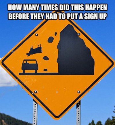 falling cow sign - How Many Times Did This Happen Before They Had To Put A Sign Up
