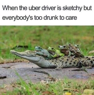 uber memes animals - When the uber driver is sketchy but everybody's too drunk to care
