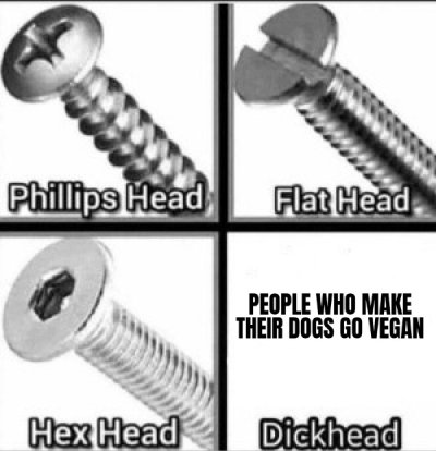 phillips head flat head meme - Phillips Head Flat Head People Who Make Their Dogs Go Vegan Hex Head Dickhead