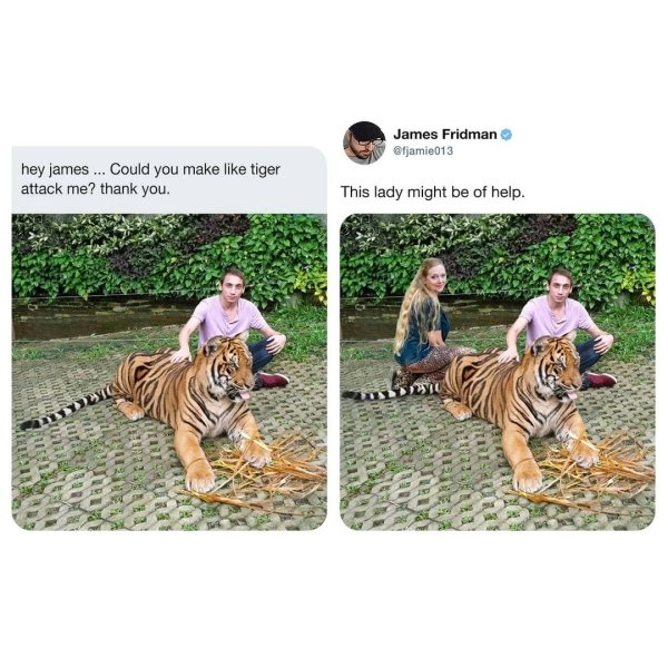 james fridman meme - James Fridman hey james ... Could you make tiger attack me? thank you. This lady might be of help.