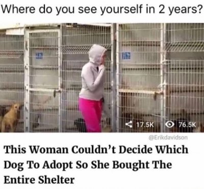 shelter dog and woman - Where do you see yourself in 2 years?