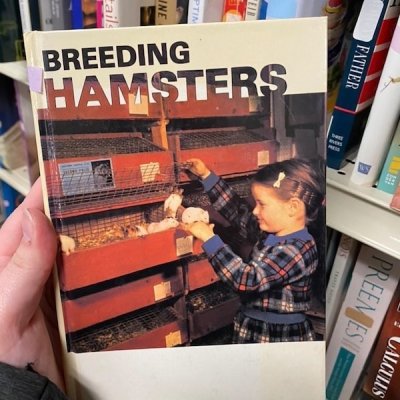 library - Preemjes! Sino Father Ptin Ine Breeding Hamsters Baile