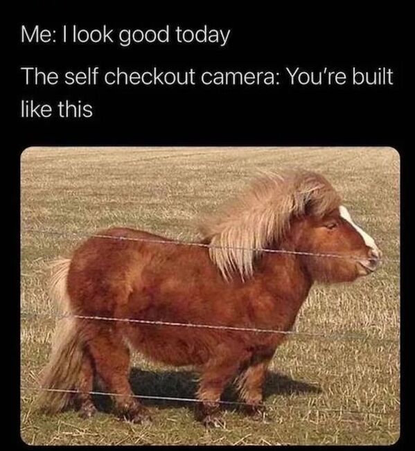 miniature horse meme - Me I look good today The self checkout camera You're built this