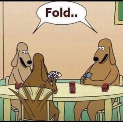 dogs playing poker fold - Fold.. Od 07070