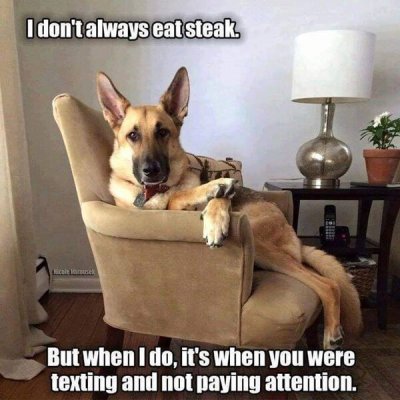dont always eat steak - I don't always eat steak. But when I do, it's when you were texting and not paying attention.