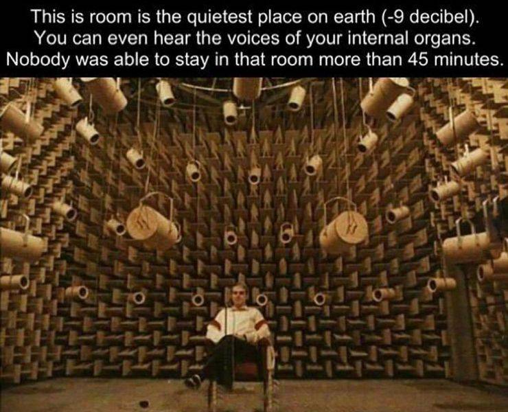 This is room is the quietest place on earth 9 decibel. You can even hear the voices of your internal organs. Nobody was able to stay in that room more than 45 minutes.